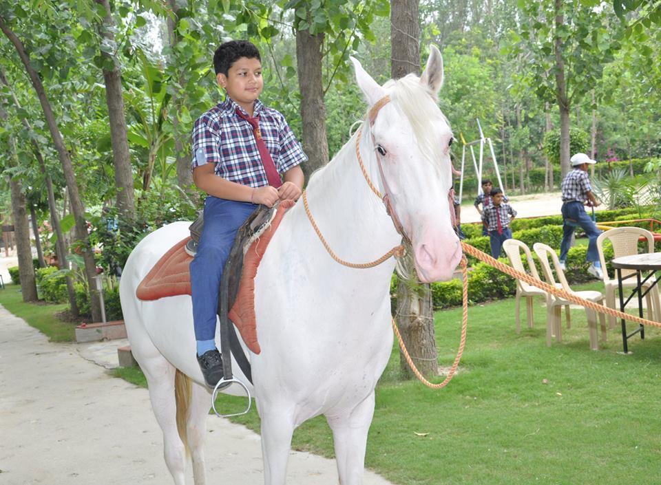 Kangs Nirvana Resorts And Spa Mahalpur Eksteriør bilde